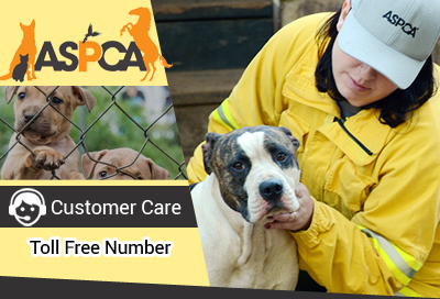 ASPCA Customer Care Service Toll Free Phone Number