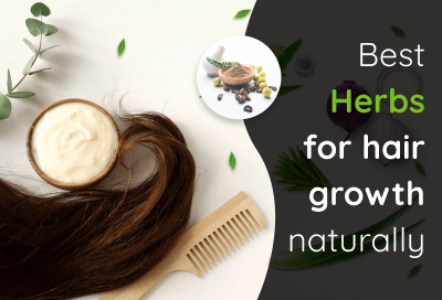 10 Best Herbs That Prompt Hair Growth Naturally 