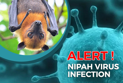 Nipah Virus You Must Need to Know About It