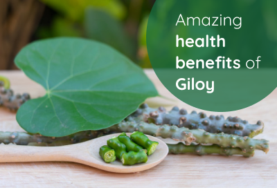 5 Powerful Benefits Of Immunity Booster Giloy