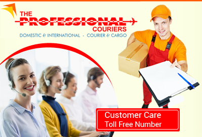 Professional Courier Patna Customer Care Toll Free Number 