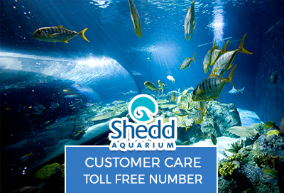 Shedd Aquarium Customer Care Toll Free Number