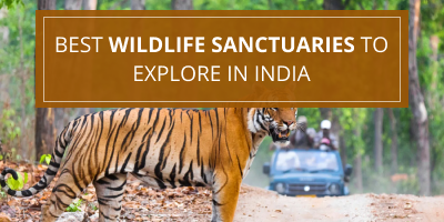 15-Best-Wildlife-Sanctuaries-To-Explore-In-India