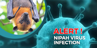 Nipah-Virus-You-Must-Need-to-Know-About-It