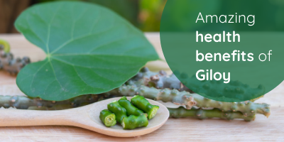 5-Powerful-Benefits-Of-Immunity-Booster-Giloy