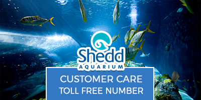 Shedd-Aquarium-Customer-Care-Toll-Free-Number