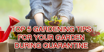 Top-5-Gardening-Tips-To-Keep-Your-Garden-Blooming-During-Quarantine